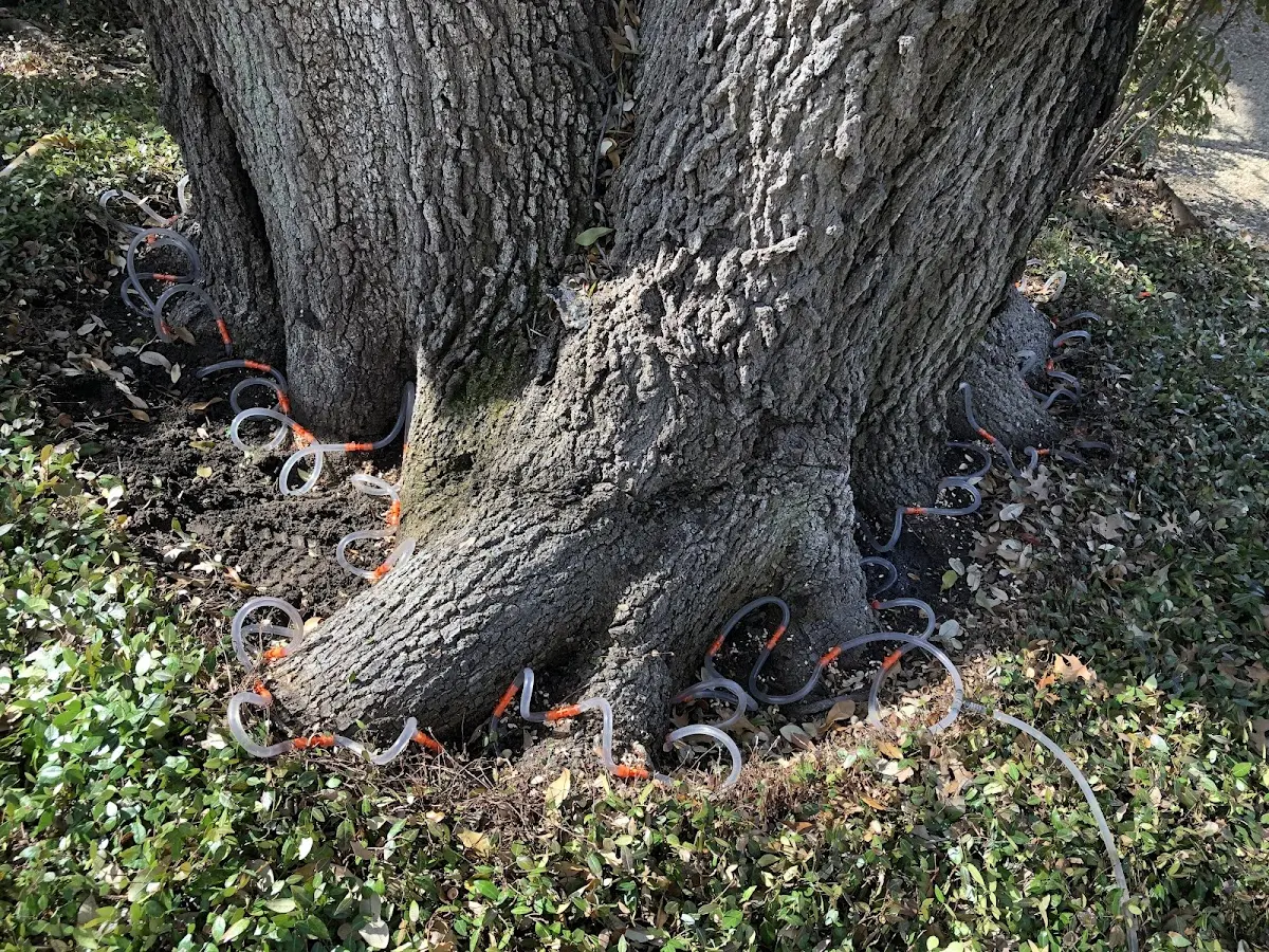 Detailed Shrub and Hedge Trimming job site in Ermine